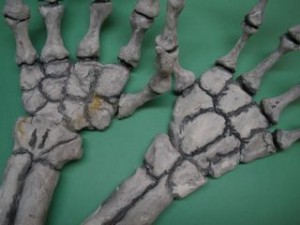 clay-skeletal-hands-b1
