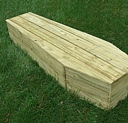$25 Full-Size Toe-Pincher Coffin