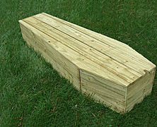 $25 Full-Size Toe-Pincher Coffin