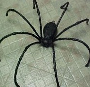 Making Spiders