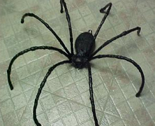 Making Spiders