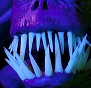 Making Glow In The Dark Teeth