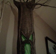 Haunted Tree