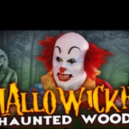 Hallowicked Haunted Woods 2013