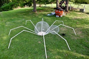 the-build-of-a-giant-spider-b4