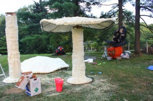 the-build-of-giant-mushrooms-b6