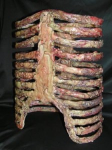 cheap-skeletal-rib-cage-b6