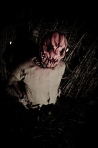 the-haunted-trail-2013-b2