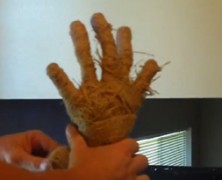 Hands For A Halloween Scarecrow